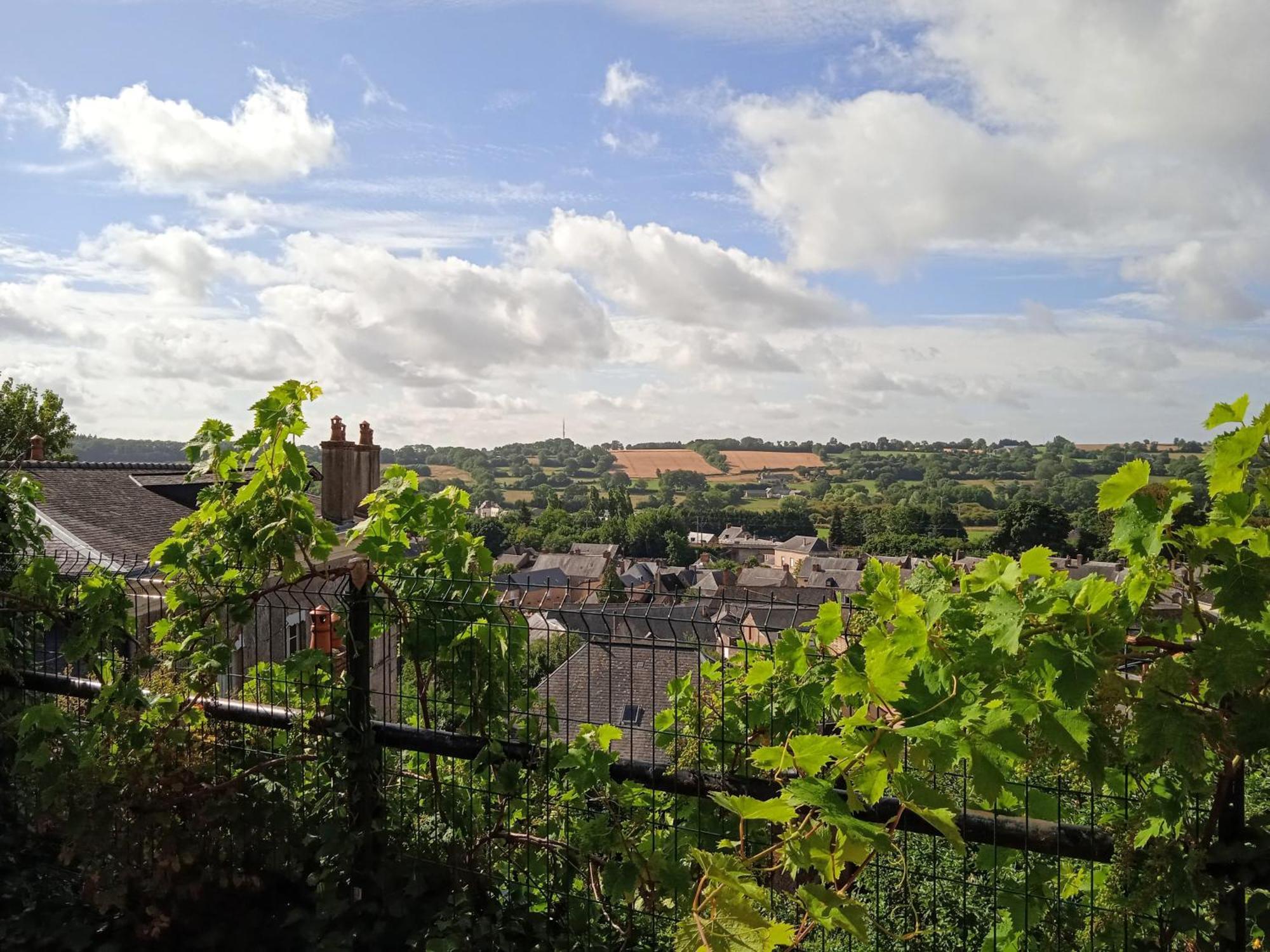 Charming Detached 2 Bedroom Ancient House In Medieval Quarter Of A Small Town In The Pays De La Loire, France Sillé-le-Guillaume Εξωτερικό φωτογραφία